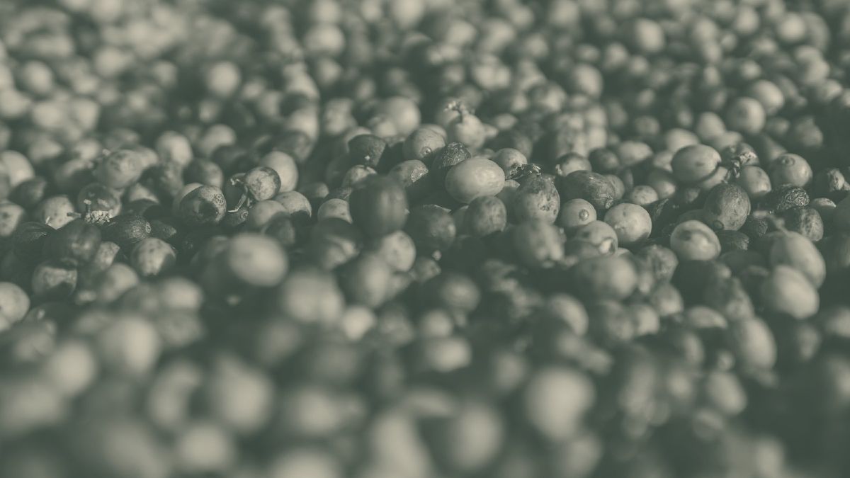 Anaerobe Fermentation: Was der Hype wirklich bringt