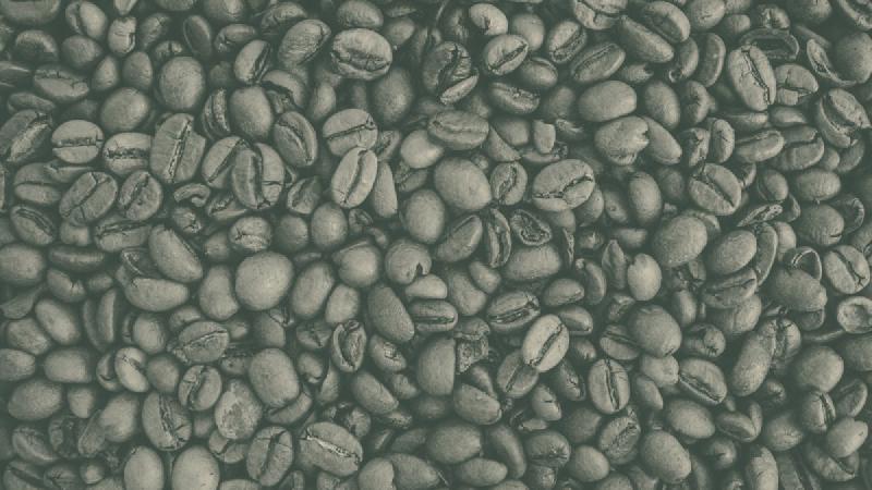 Arabica vs. Robusta: Vom Volumenfüller zur Specialty-Bohne
