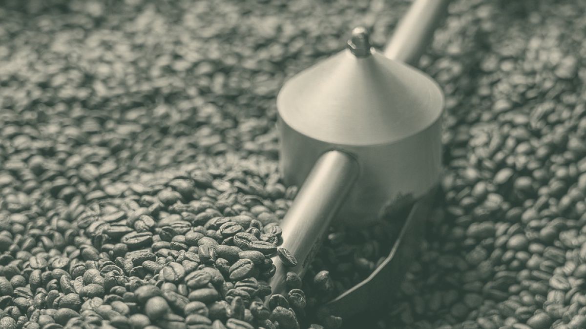 Wann ist eine Bohne 'frisch' – und wann ist sie zu frisch?