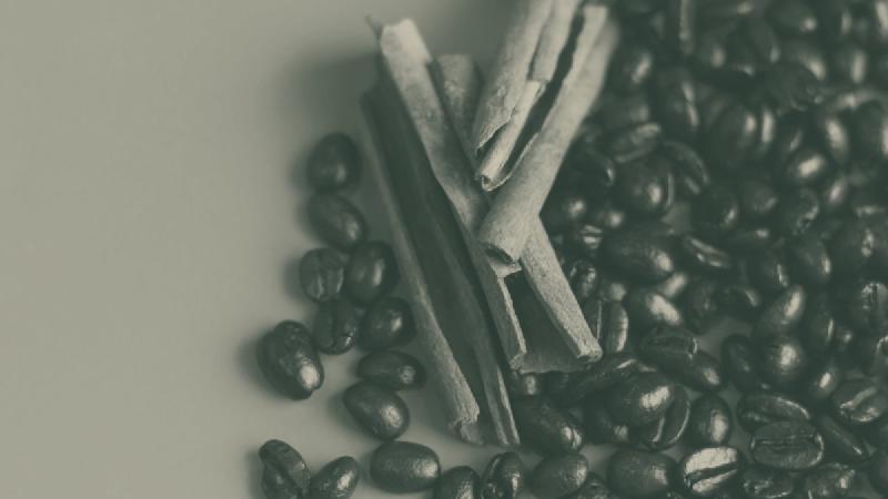 SCA Flavor Wheel: Wie die Suche nach der „Blaubeere" im Kaffee funktioniert