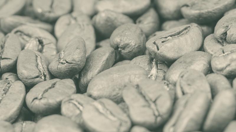 Brew Ratio erklärt: Warum helle Röstungen ein anderes Verhältnis verlangen
