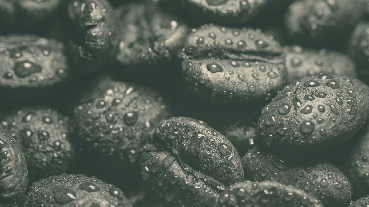 Ross Droplet Technique (RDT): Wassertropfen auf Kaffeebohnen vor dem Mahlen